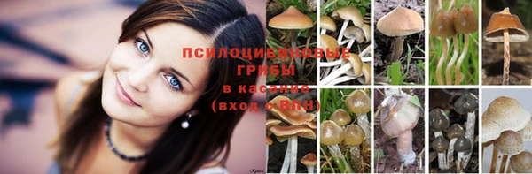 mix Кемь