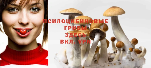 эйфоретик Навашино