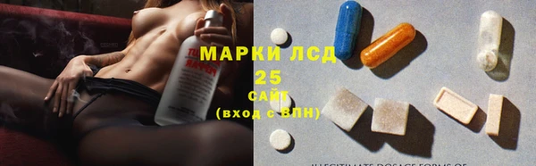 ПСИЛОЦИБИНОВЫЕ ГРИБЫ Кедровый