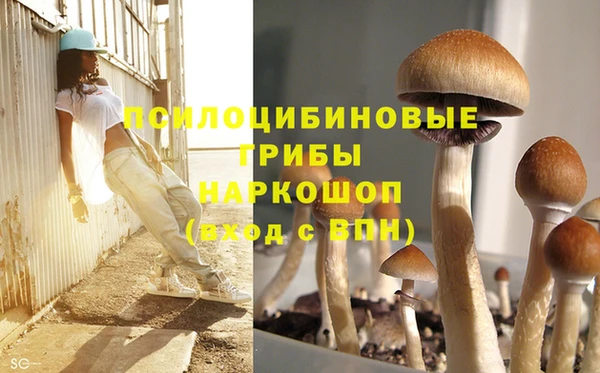 не бодяженный Михайлов
